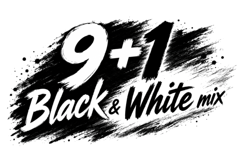 9+1 Box AURAPOL  PLA Filament Black/White mix 1 kg 1,75 mm